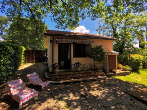 Tranquil holiday home in Selci with swimming pool Selci